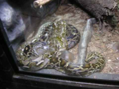 s_A_PICT0057.jpg